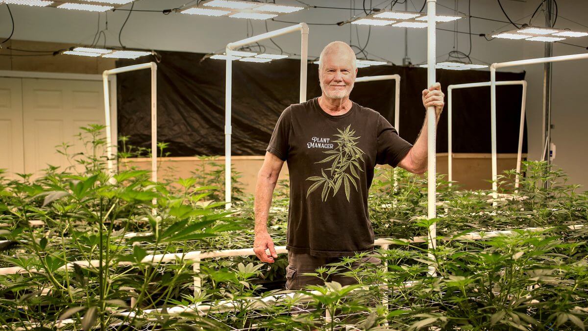 Gatlinburg Hemp
