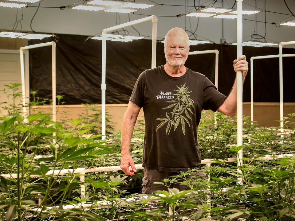Gatlinburg Hemp